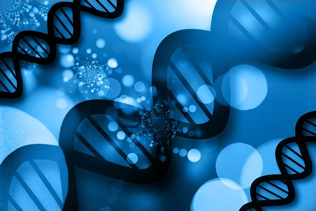 適用于多層火焰復合工藝的火貼棉聚醚多元醇：確保多層材料之間形成牢固的物理和化學結合，防止復合結構在使用過程中分層